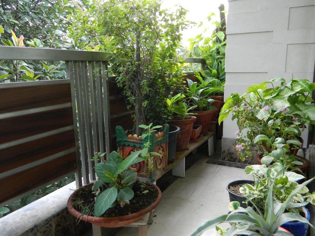 Deerpark Villa New Delhi Exterior foto